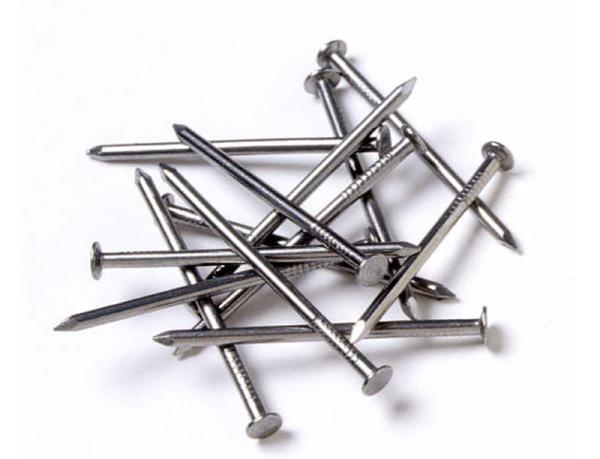 Common Round Nail