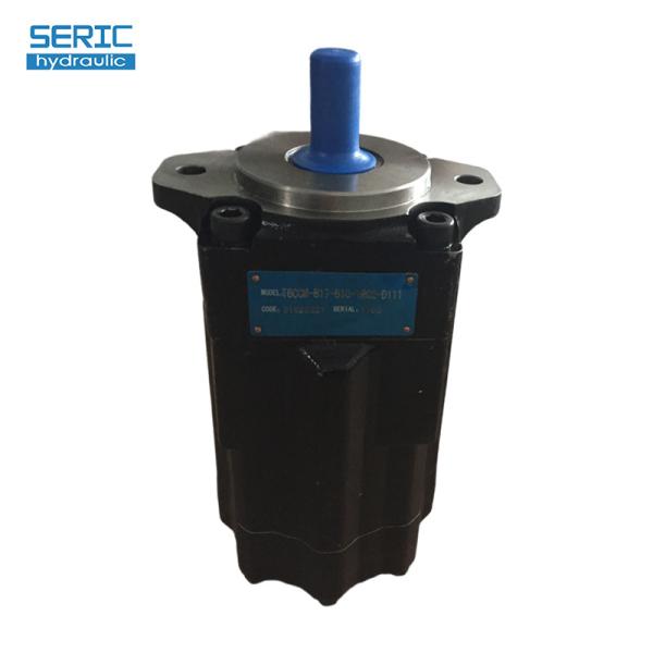 Bomba de paletas hidráulica serie T6CCM para maquinaria industrial