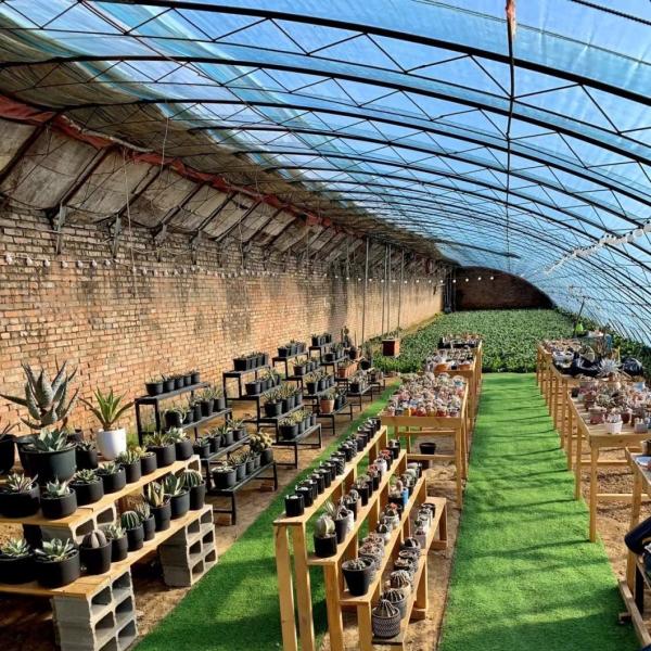 Aquaculture Made Easy with Seeding Breening Sunlight Greenhouse 30-Day Return Refunds