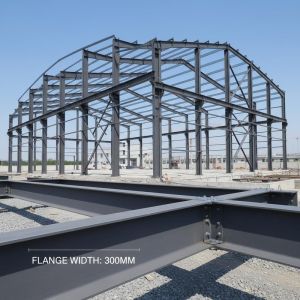 Blast Painted Galvanized Surface Steel Structure Building with 50-300mm Flange Width and Wind Snow Seismic Resistant Design
