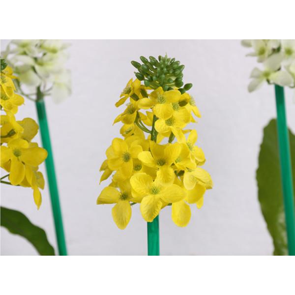 Emulation rapeseed lamp LED flower lamp outdoor lawn floor lamp lawn courtyard decoration lighting lamps