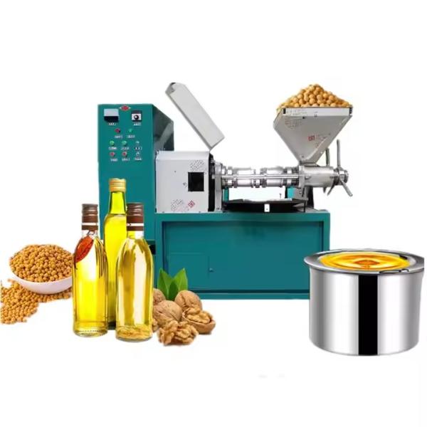 High Efficiency Vegetable Oil Making Machine  Sesame Oil Press Machine Sunflower Seed Oil Extractor