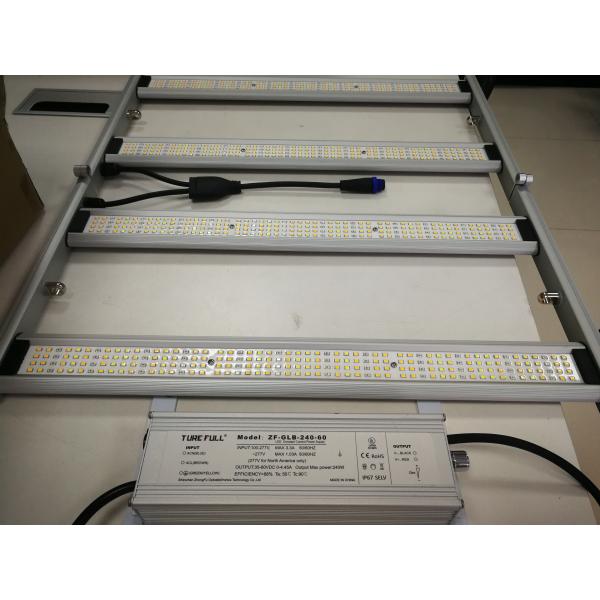 2835SMD LED 240W Full Spectrum Indoor Plant LED Grow Lights