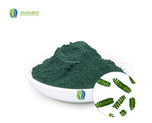 Spirulina Powder 50%~60% Protein