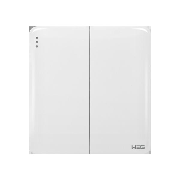 Saddle Fussion Socket Panel Two-position Double Control Switch W32Q/2Y Wall Mounted Plug Socket