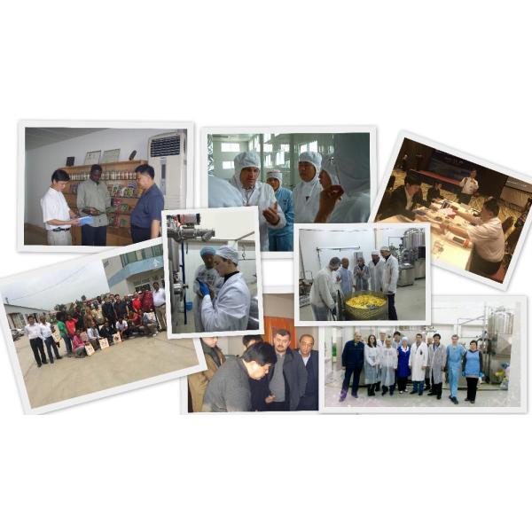 Линия по производству кукурузных палочек для собак Машина для производства закусок для домашних животных для кошек