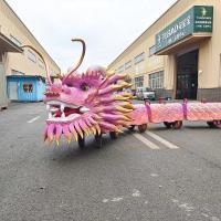 Personalización realista de Dragon Ride para el parque de diversiones