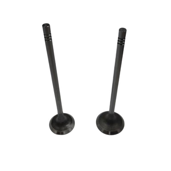 Auto Parts 1.6T Engine Intake And Exhaust Valves For Peugeot 3008 207CC 308CC 308SW RCZ Citroen C4 C4L DS5 OE 0948E8 0949E2