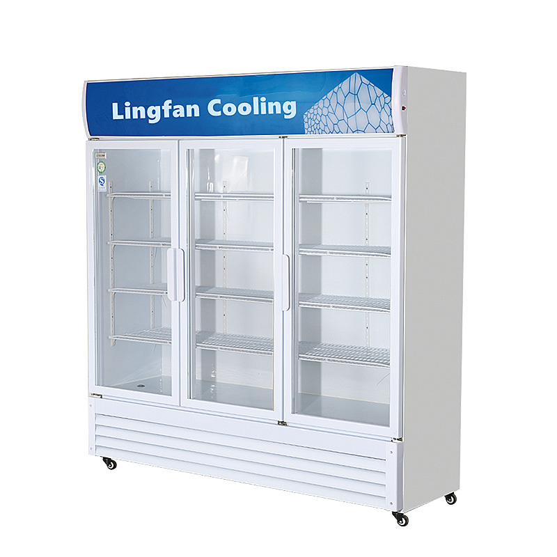 Commercial Freezer with Static Cooling System Double-Door Access and 650L Volume Glass Door Freezer