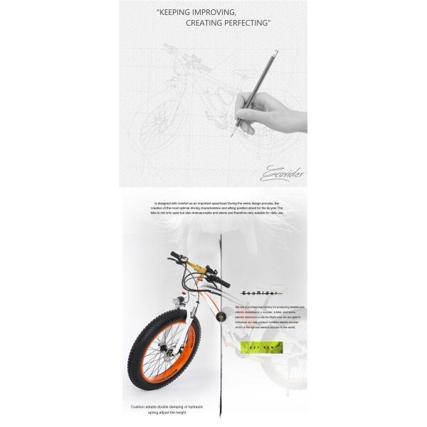 Colorful Big Two Wheel Electric Bike With A Max Range 40km LED Light