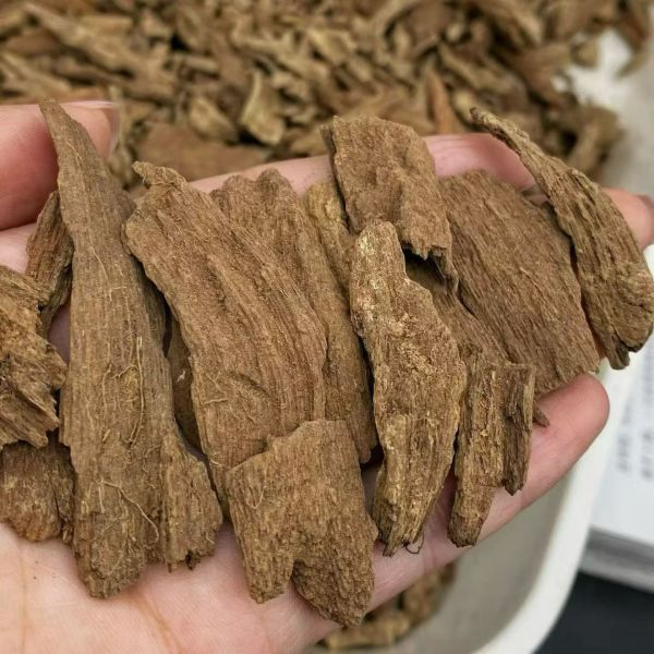 Pure OUD Agarwood resin aromatic natural material ideal for perfume incense and traditional healing product manufacturing