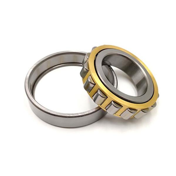 Cylindrical Roller Excavator Swing Bearing NUP305 NUP306 NUP307 NUP308 NUP309