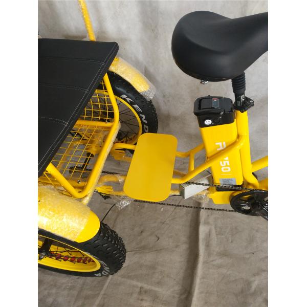 750W Central Motor Fat Tire Electric Rickshaw with Aluminum Carrier and Passenger Seat