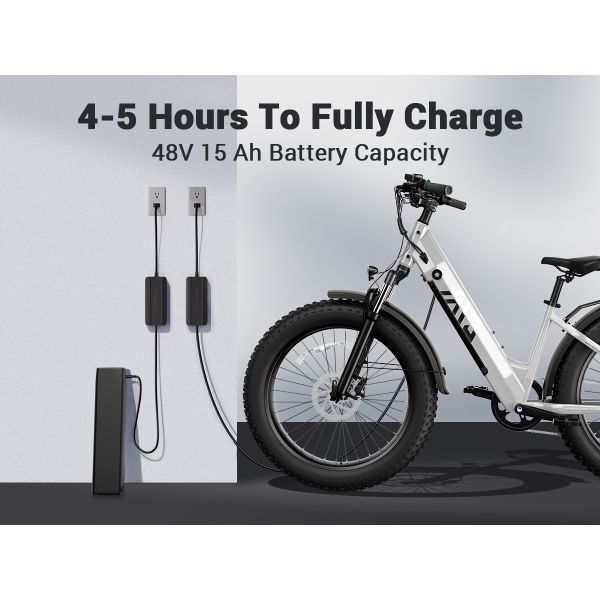 Factory Price F622 26 Inch Off Road Motor 750W Fat Tire Ebike 7 Speed Hydraulic Disc Brake Fat Mountain Bike