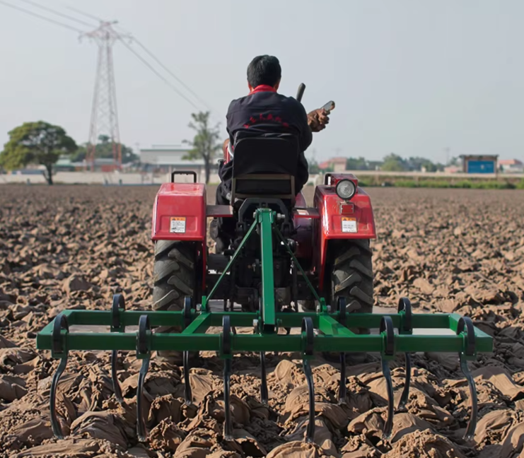 High-Performance Farm Cultivator for Inter-row Cultivation, Soil Preparation in Corn Fields3ZS