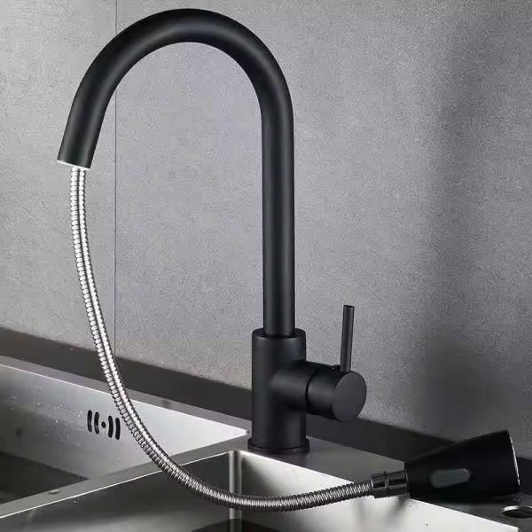 Contemporary Style Blackened Kitchen Faucet with Dual Mode Outlet and Single Handle