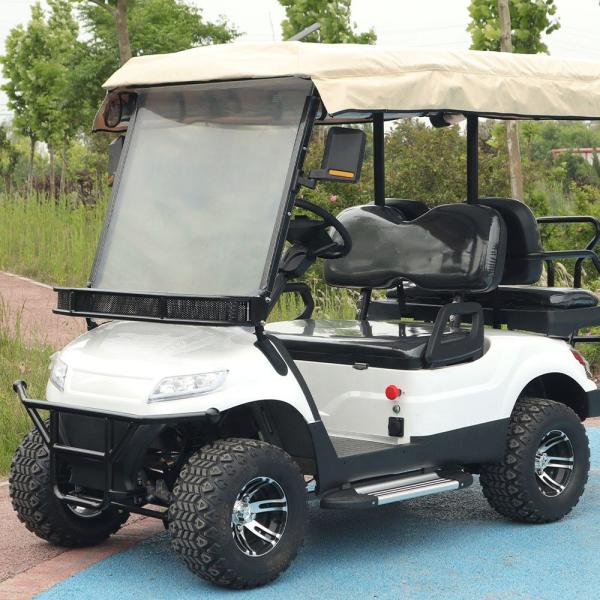 Electric Hunting NEV Golf Cart Leisure Carts Buggy With Lithium Battery 2.5KW