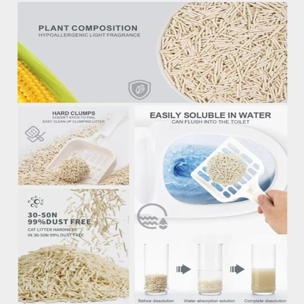 Produits pour animaux de compagnie naturels écologiques, sans poussière, hypoallergéniques, absorbants, déodorants