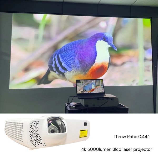 SMX 4K Resolution 5000 ansi lumens Immersive Short Throw Laser Projector VR Room,Home Theater