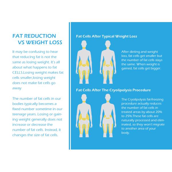 TUV Approval Effective Cryolipolysis Cool Freeze 40KHZ Cavitation Ultrasound Dissolve Fat Machine