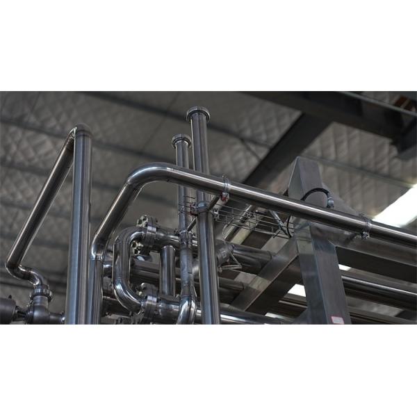 Boost Your Production with Reliable Mango Pulp Line -