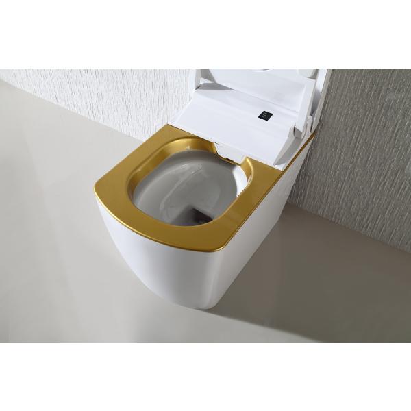 110V / 220V Electric Smart Toilet Smart Bidet Toilet Automatic Deodorization intelligent toilet