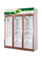 Réfrigérateur vertical sans givre pour boissons de 452 litres avec unités enfichables
