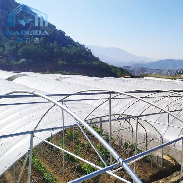 Estufa poli do túnel de Multispan dos vegetais com sistema de ventilação refrigerando