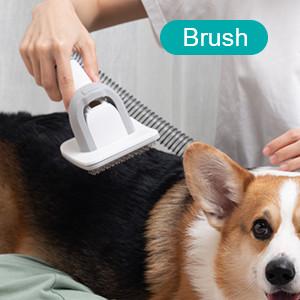 Kit de escova e penteado para cães Produtos para animais de estimação Kit de ferramentas para gatos Trimers Blades