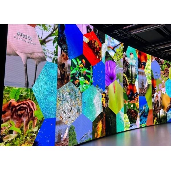 Die-Cast Aluminum Rental Screen Customizable Meeting Room Church HD Flexible LED Display Screen COB P0.9