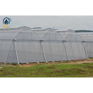 Serre multispan à grande échelle économe en énergie pour l'agriculture dans les régions tropicales