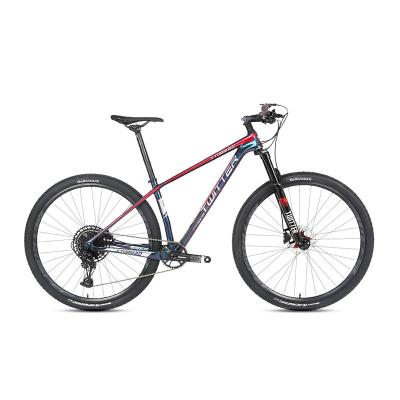 Cor holográfica do Mountain bike 29er do carbono com Sram SX 12S Groupset para o adulto