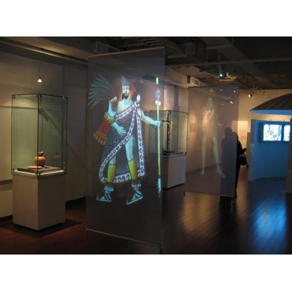 170°  Transparent 100um Holographic Projection Film
