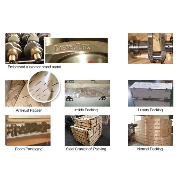 Engine Accessory RF8 Diesel Engine Crankshaft & Bearing Bushes For Nissan 12200-97566