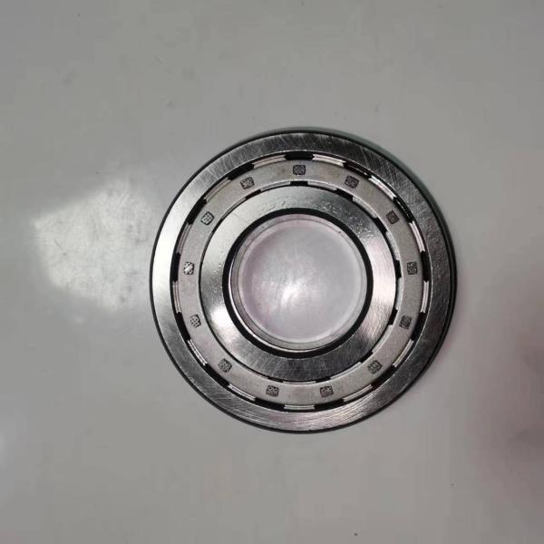 Shaantooth Transmission Intermediate Shaft Bearing NUP310EN 192310E Cylindrical Roller