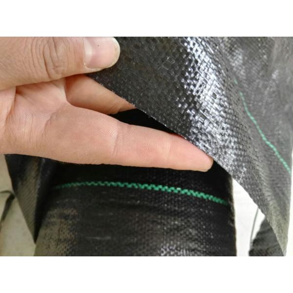 UV Treated Virgin PP Weed Control Fabric With Green Line And Square Line