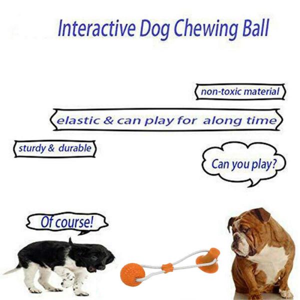 Жевание собаки ТПР жесткое забавляется собственная личность любимца играя резиновый шарик с чашкой всасывания