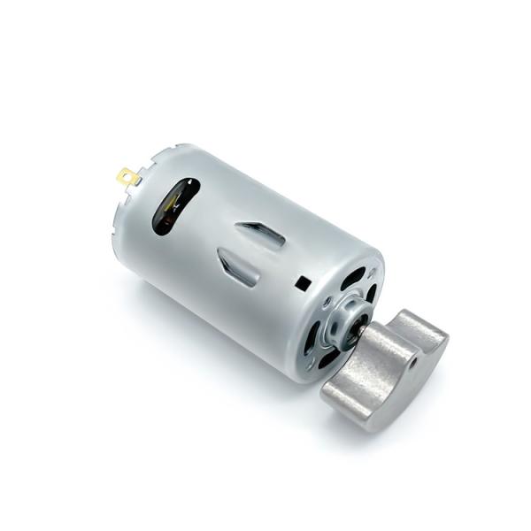 Vibrador pequeno único motor escovado 6v 12v 24v 3000RPM da C.C. do eixo