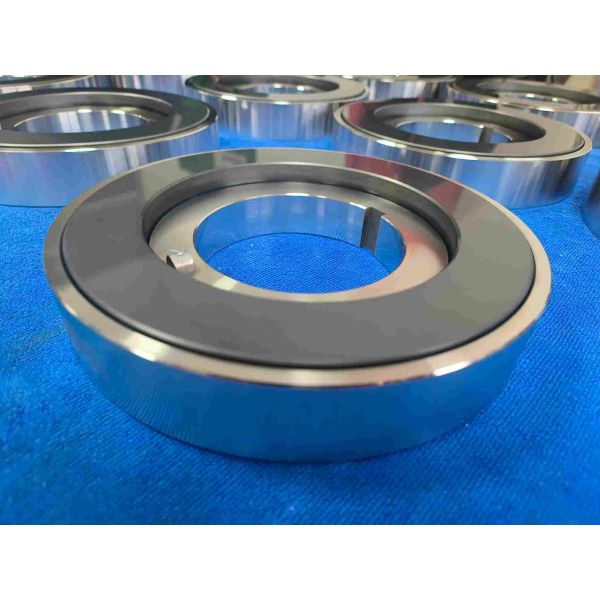 SiC Thrust Washer for Canned Motor Pumps