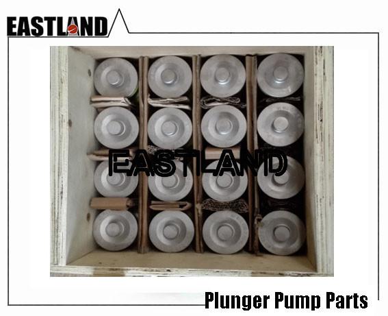 Novatech 5FOV1 Plunger Pump Fludi End Valve Seat