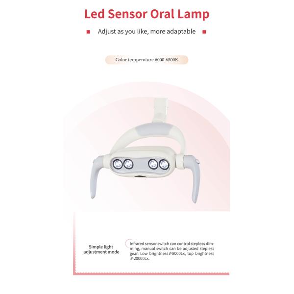 Electricity PU Cushion Patient Dental Chairs 12mm Frame