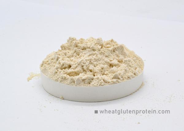 Physical Extraction Natural Wheat Gluten Powder Dried For Aquaclture Feed