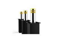 Bornes en hausse escamotables de la taille SS304 du rail 600mm de QPQ