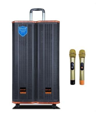 ODM OEM Wooden Outdoor Active Speakers Karaoke Speaker Sound System