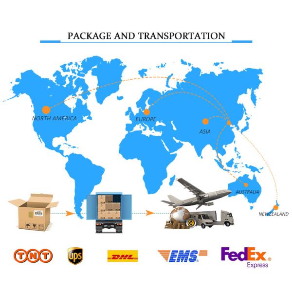 Полностью автоматический Мултичаннел международный стандарт 2900ФТ модулирующей лампы Флек