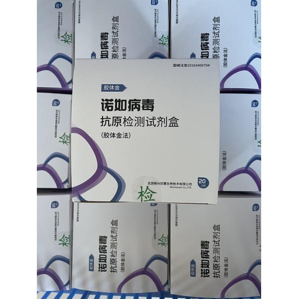 Rapid Test For Detection Of Norovirus Antigen With 20kits Colloidal Gold Method with CE