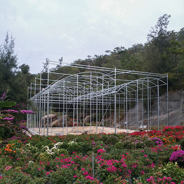 Modern Greenhouse Ventilation High Roof UV Plastic For Tropical Rainy Regions