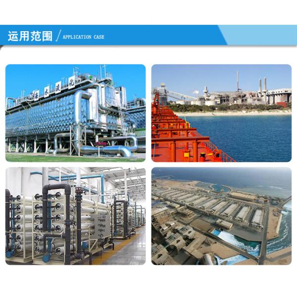 FLOWMONSTER LT-N Heavy Duty High Pressure Plunger Sea Water Desalination Stainless Steel Plunger Pump