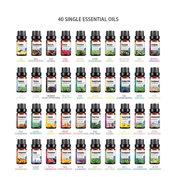 Wholesale 10ml Natural 100% Pure Essential Oil For Aroma Diffuser Body Facial Care SPA Fragrance Aromatherapy