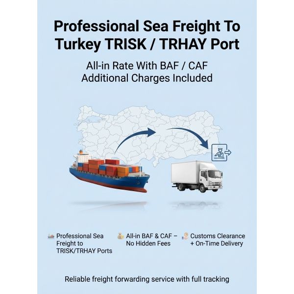Professional Sea Freight To Turkey TRISK / TRHAY Port All-in Rate With BAF / CAF Additional Charges Included